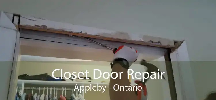 Closet Door Repair Appleby - Ontario