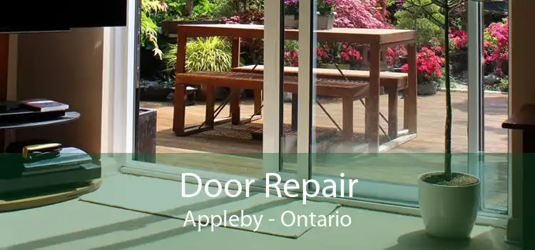 Door Repair Appleby - Ontario