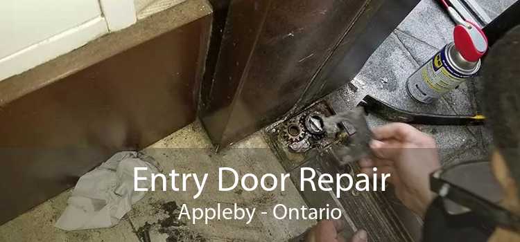 Entry Door Repair Appleby - Ontario