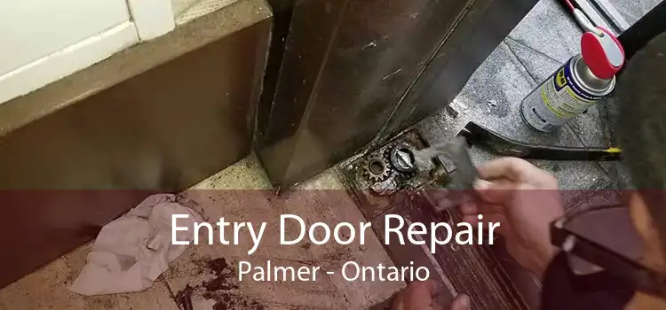 Entry Door Repair Palmer - Ontario