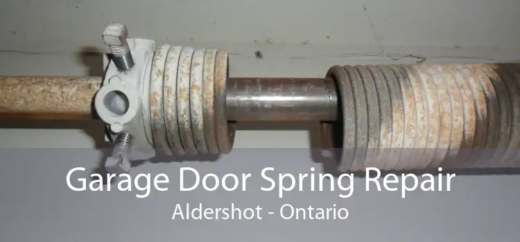 Garage Door Spring Repair Aldershot - Ontario