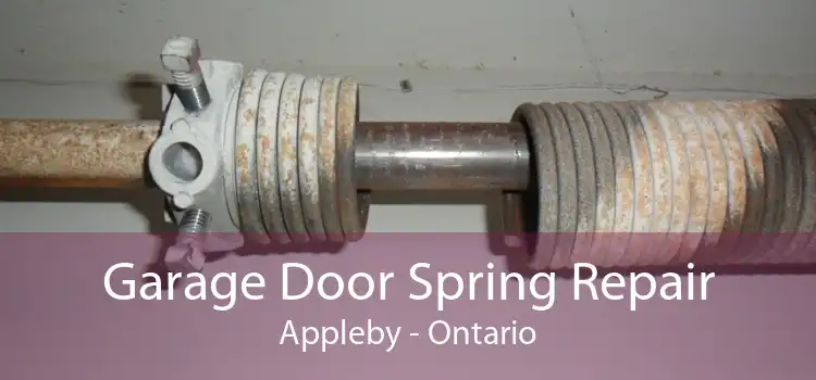 Garage Door Spring Repair Appleby - Ontario