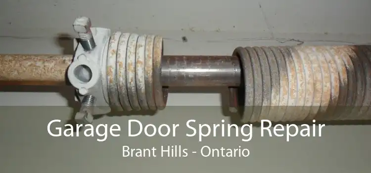 Garage Door Spring Repair Brant Hills - Ontario
