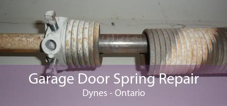 Garage Door Spring Repair Dynes - Ontario