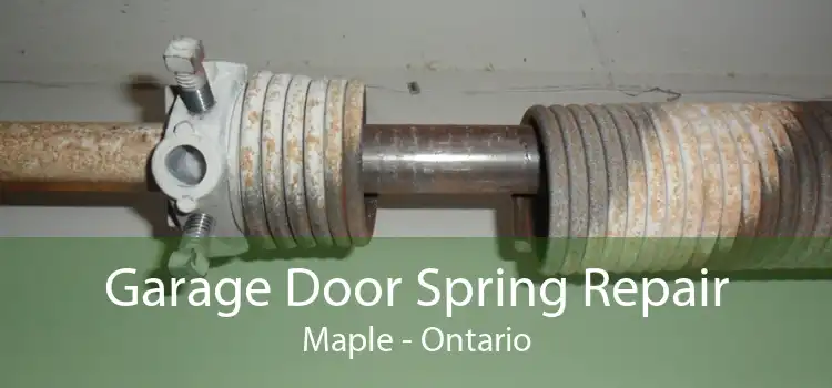 Garage Door Spring Repair Maple - Ontario