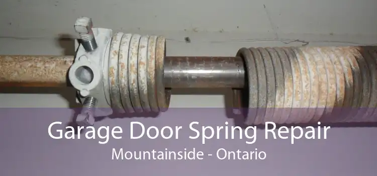 Garage Door Spring Repair Mountainside - Ontario