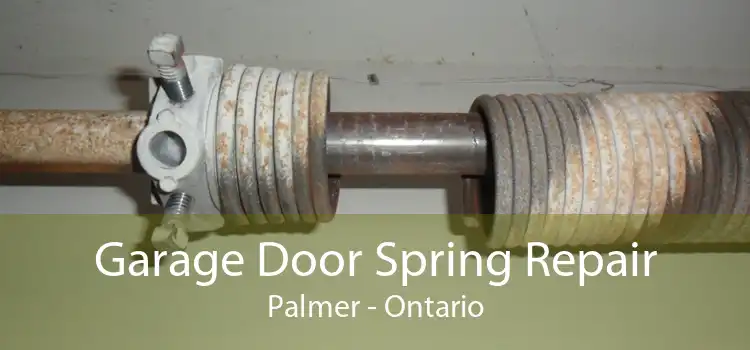 Garage Door Spring Repair Palmer - Ontario