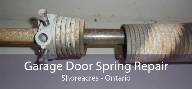 Garage Door Spring Repair Shoreacres - Ontario