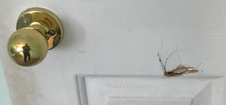 interior door hole repair Aldershot